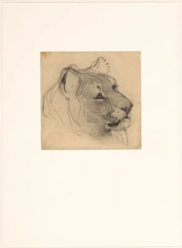 Kop van een leeuwin Wall Art by Bernard Willem Wierink - High-Resolution Digital Print