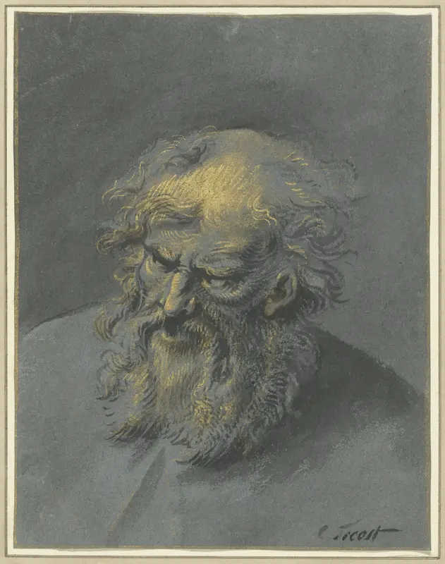 Kop van een oude man met baard (een apostel of filosoof) Wall Art by Cornelis Troost - High-Resolution Digital Print