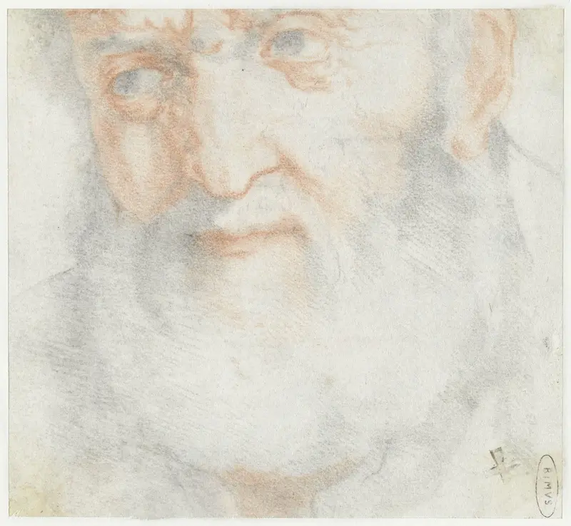 Kop van een oude man met baard Wall Art by Unknown - High-Resolution Digital Print