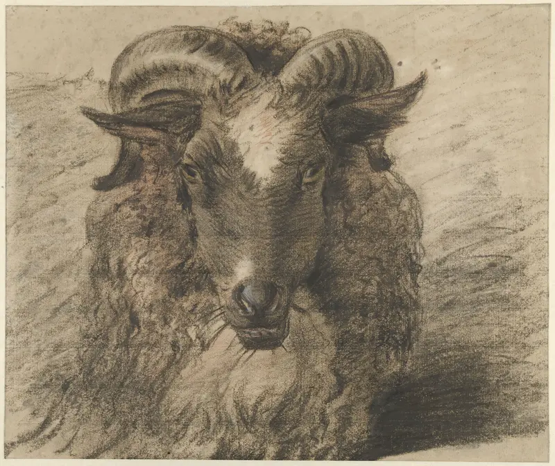 Kop van een ram Wall Art by Hendrik Stokvisch - High-Resolution Digital Print