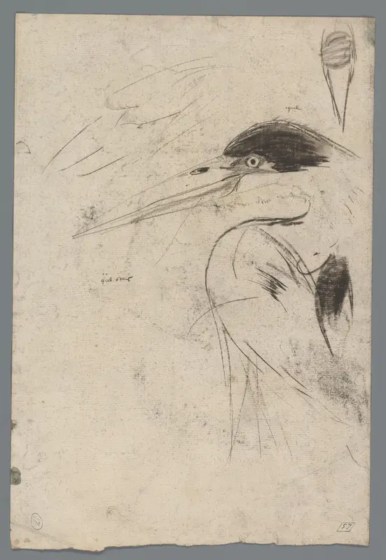 Kop van een reiger Wall Art by Gerrit Willem Dijsselhof - High-Resolution Digital Print