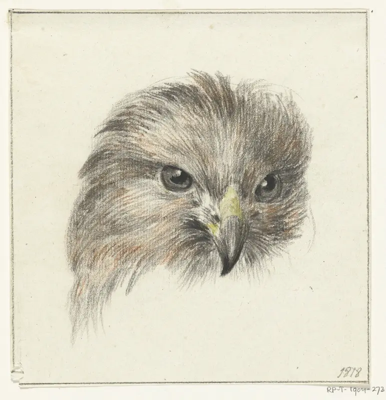 Kop van een roofvogel Wall Art by Jean Bernard - High-Resolution Digital Print
