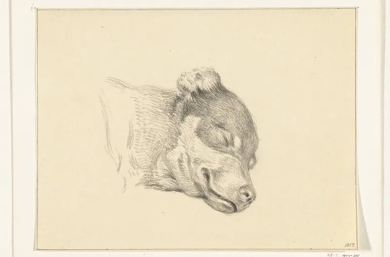 Kop van een slapende hond Wall Art by Jean Bernard - High-Resolution Digital Print