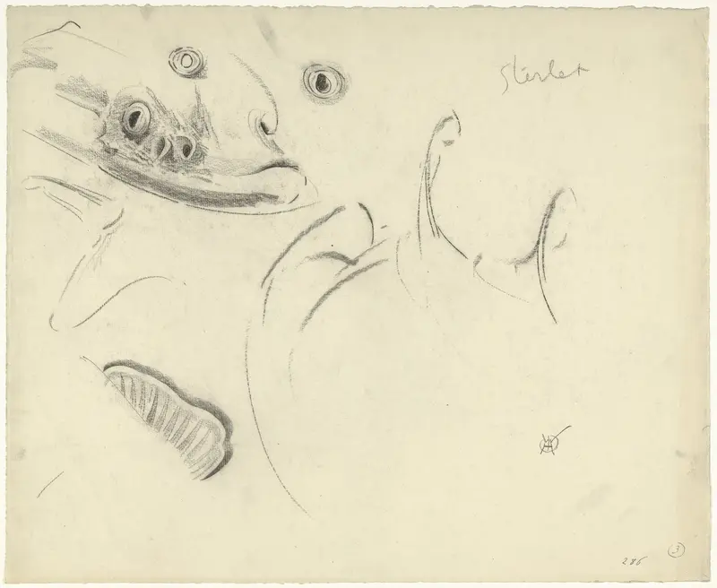 Kop van een sterlet en detailstudies van ogen, staart en vinnen Wall Art by Gerrit Willem Dijsselhof - High-Resolution Digital Print