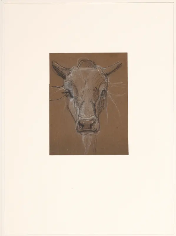 Kop van een Zebu, van voren Wall Art by Bernard Willem Wierink - High-Resolution Digital Print