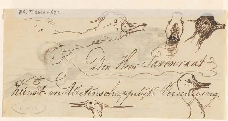 Koppen van eenden Wall Art by Unknown - High-Resolution Digital Print