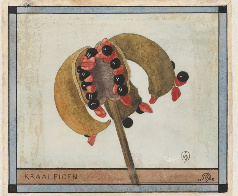 Kraalpioen Wall Art by Samuel Jessurun de Mesquita - High-Resolution Digital Print