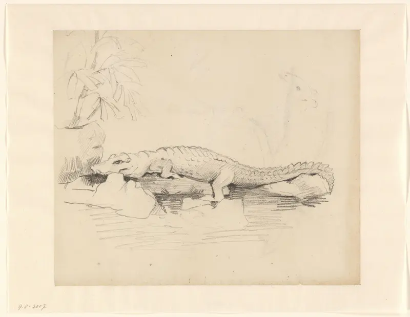 Krokodil Wall Art by Piet Meiners - High-Resolution Digital Print