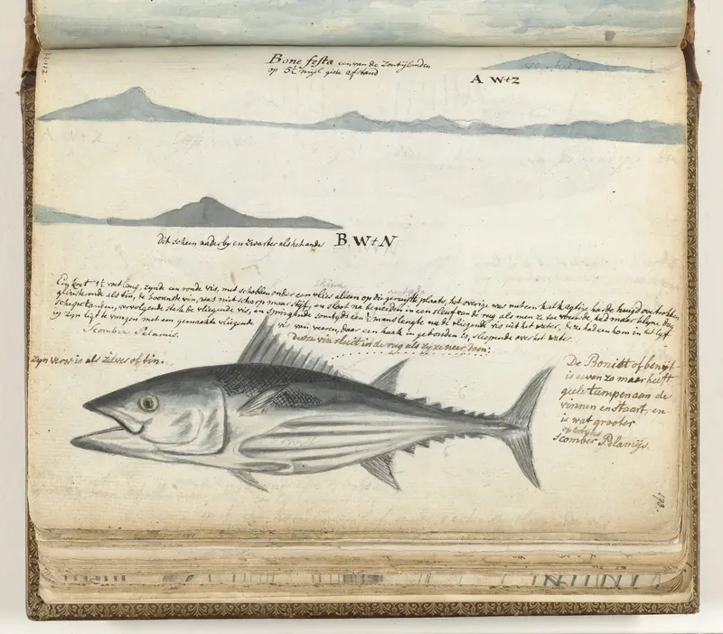 Kustprofielen van de Canarische Eilanden. Vis. Wall Art by Jan Brandes - High-Resolution Digital Print