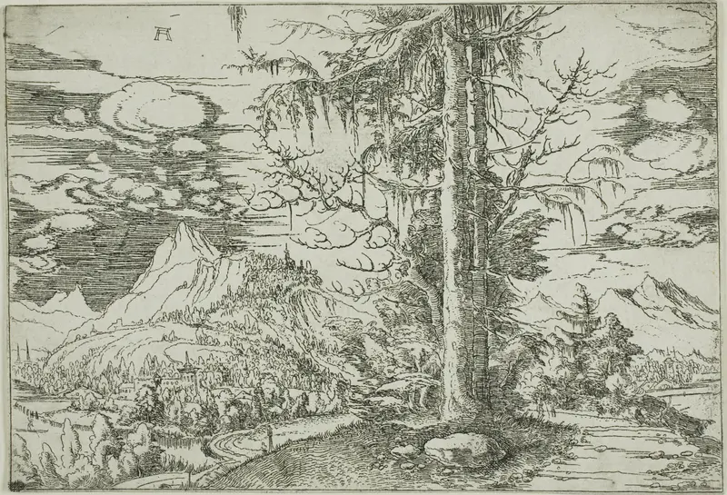 Landscape with A Double Spruce Wall Art by Albrecht Altdorfer - High-Resolution Digital Print
