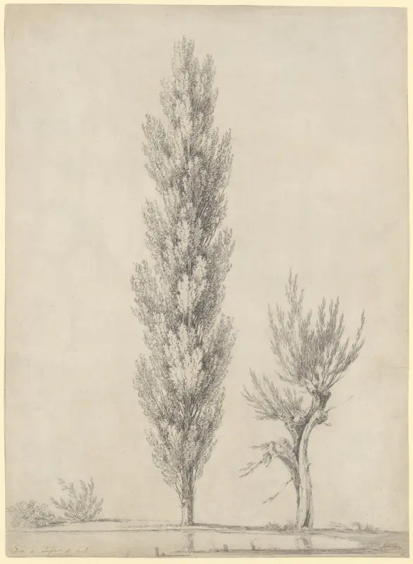 Landscape with a Poplar and a Willow Tree at the Edge of a Pond Wall Art by Jean Victor Bertin - High-Resolution Digital Print