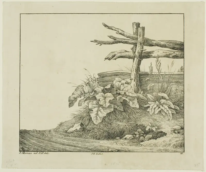 Landscape with Flora and Rustic Fence near Roadside Wall Art by Lorenz Ekemann Alesson - High-Resolution Digital Print