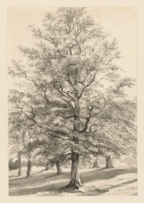 Landschap met bomen Wall Art by Cornelis Steffelaar - High-Resolution Digital Print