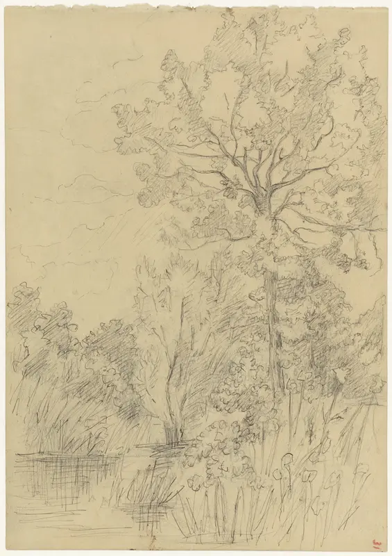 Landschap met bomen en water