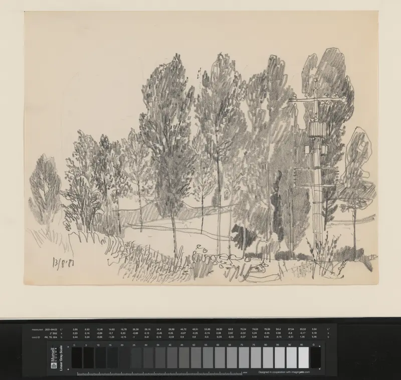 Landschap met elektriciteitspaal en bomen Wall Art by Theo Kurpershoek - High-Resolution Digital Print
