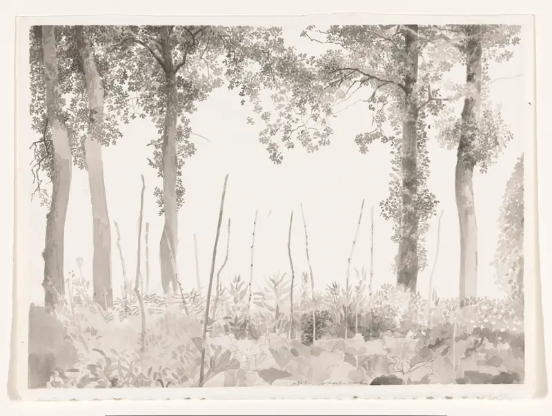 Landschap met jonge aanplant tussen hoge bomen Wall Art by Unknown - High-Resolution Digital Print