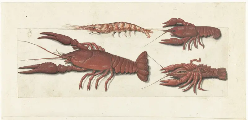 Langoustine, twee rivierkreeftjes en garnaal Wall Art by anonymous - High-Resolution Digital Print