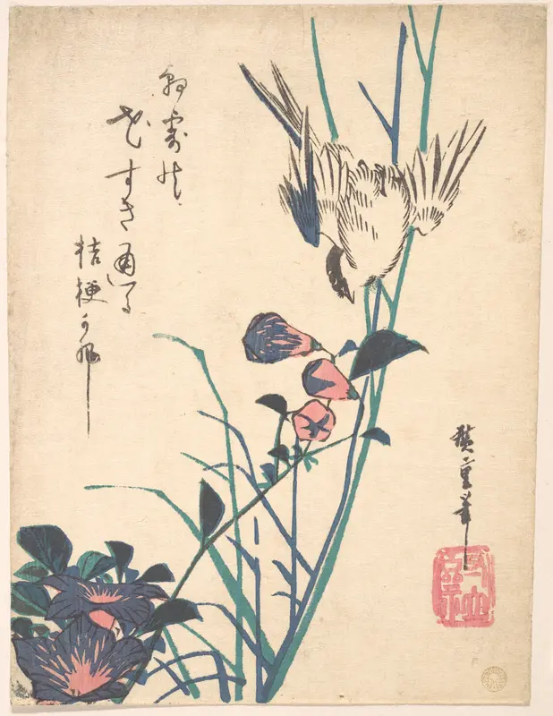 Large-flowered Flat Bill and Sparrow