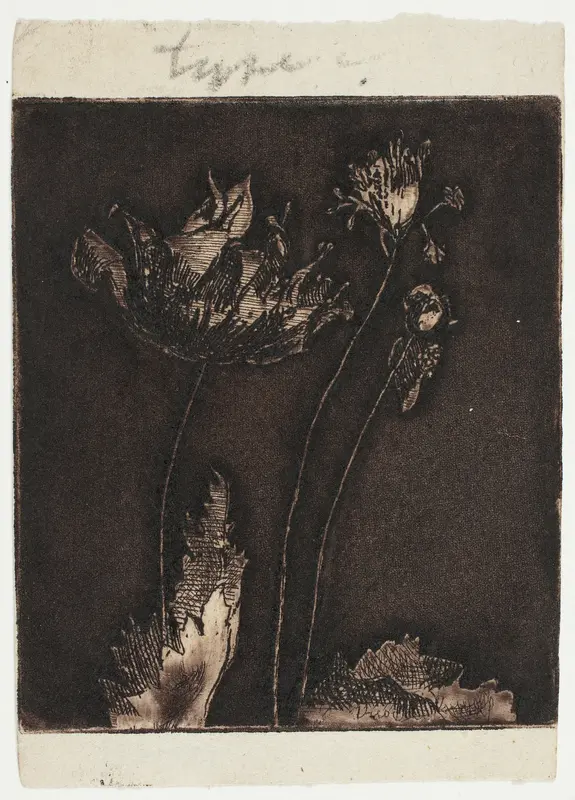 Last Poppies