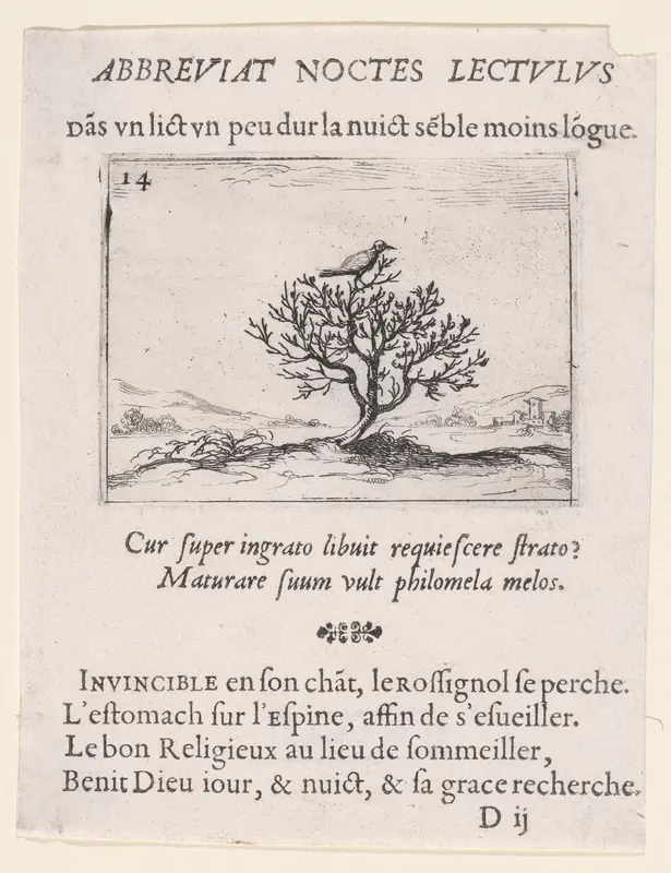 Le Rossignol Posé sur un Buisson (A Nightengale Standing on a Bush), plate 14 from "Lux Claustri ou La Lumière du Cloitre" (The Light of the Cloisters) Wall Art by Jacques Callot - High-Resolution Digital Print