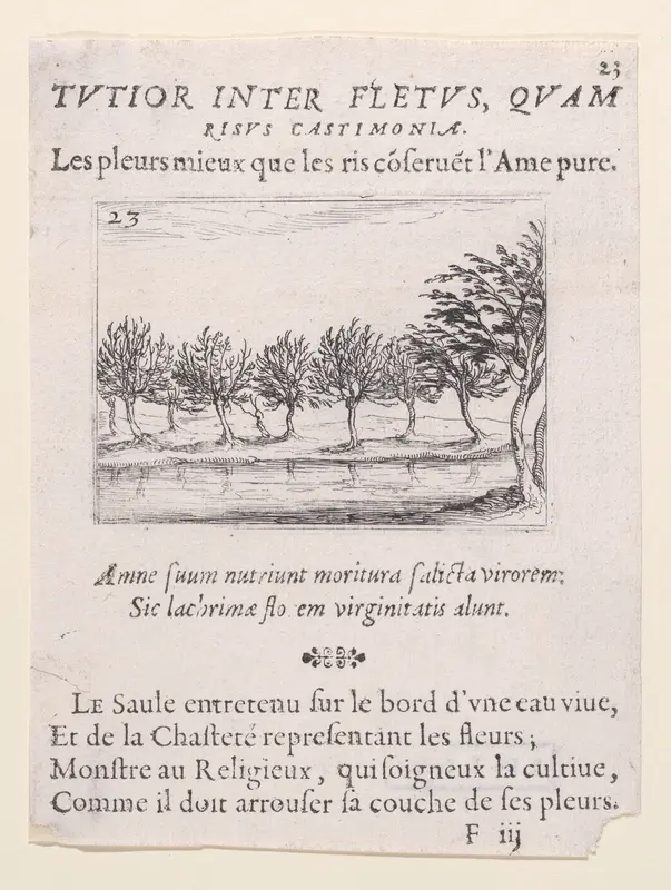 Le Saules au Bord de l'Eau (The Willows at the Waterfront), plate 23 from "Lux Claustri ou La Lumière du Cloitre" (The Light of the Cloisters) Wall Art by Jacques Callot - High-Resolution Digital Print