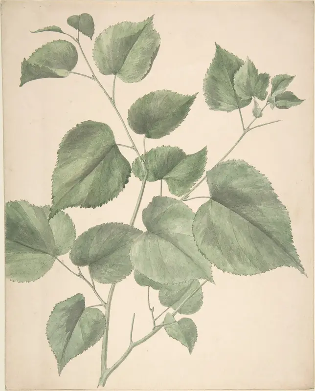 Leaves Wall Art by Anonymous, British, 19th century - High-Resolution Digital Print