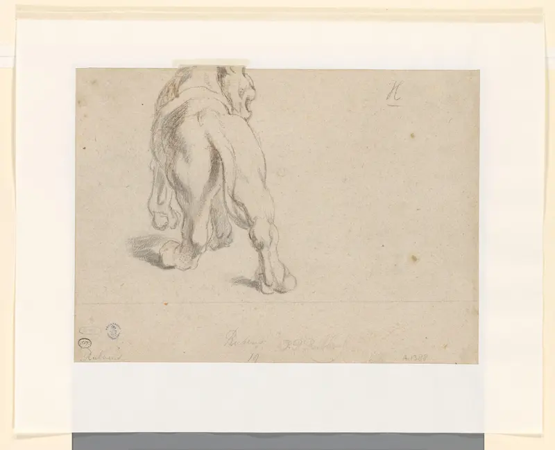 Leeuw, van achteren gezien Wall Art by Peter Paul Rubens - High-Resolution Digital Print