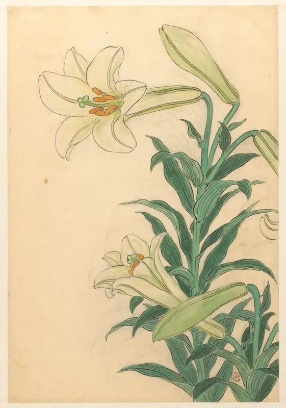 Lelies Wall Art by Unknown - High-Resolution Digital Print