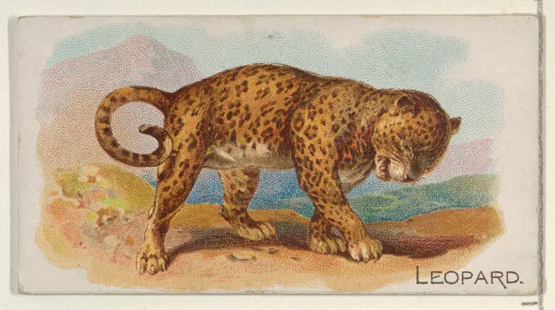 Leopard, from the Quadrupeds series (N21) for Allen & Ginter Cigarettes Wall Art by Allen & Ginter - High-Resolution Digital Print