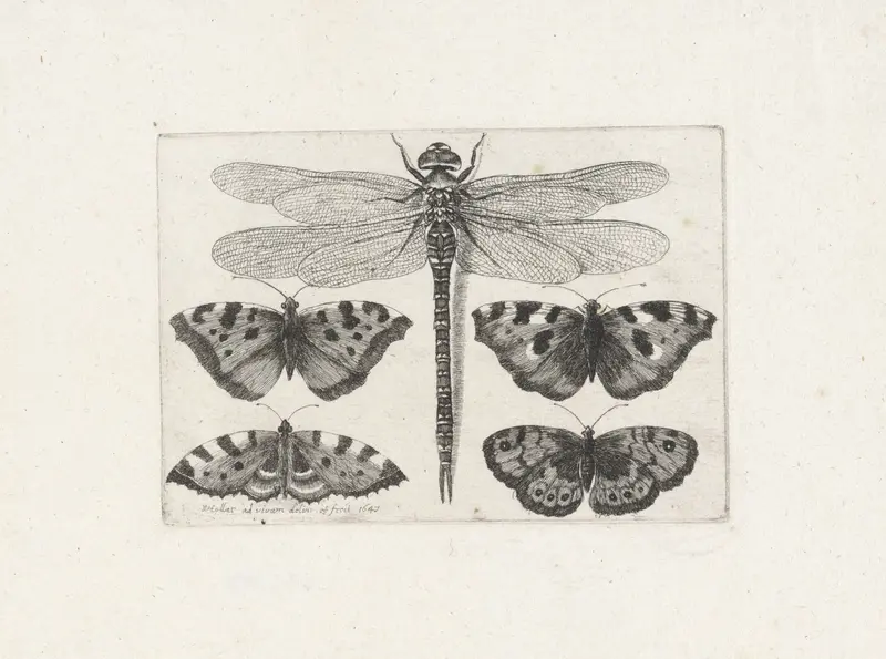 Libelle en vier vlinders Wall Art by Unknown - High-Resolution Digital Print