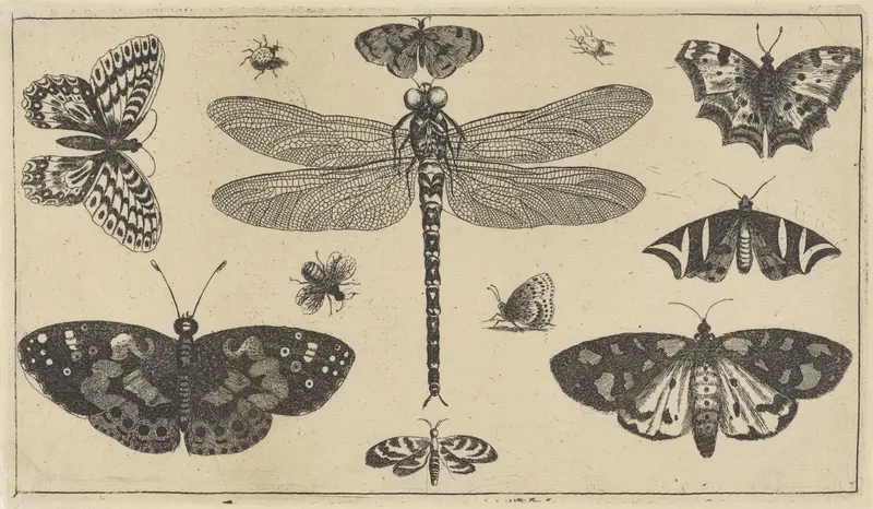 Libelle, lieveheersbeestjes en vlinders Wall Art by Wenceslaus Hollar - High-Resolution Digital Print