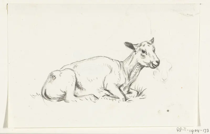 Liggend geschoren schaap, naar rechts Wall Art by Jean Bernard - High-Resolution Digital Print