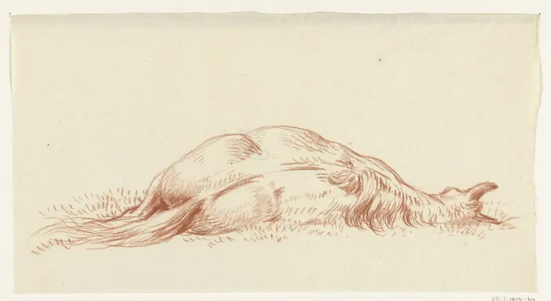 Liggend paard, op de rug gezien Wall Art by Jean Bernard - High-Resolution Digital Print