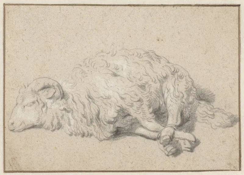 Liggend schaap met vastgebonden poten Wall Art by Unknown - High-Resolution Digital Print