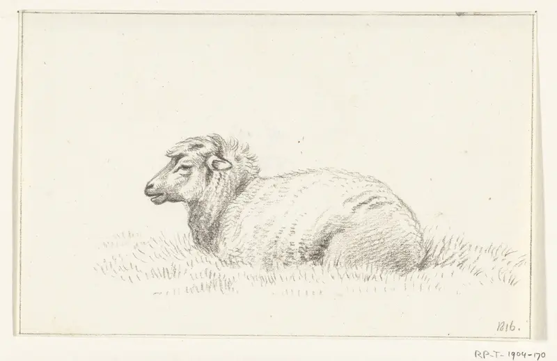 Liggend schaap, naar links Wall Art by Jean Bernard - High-Resolution Digital Print