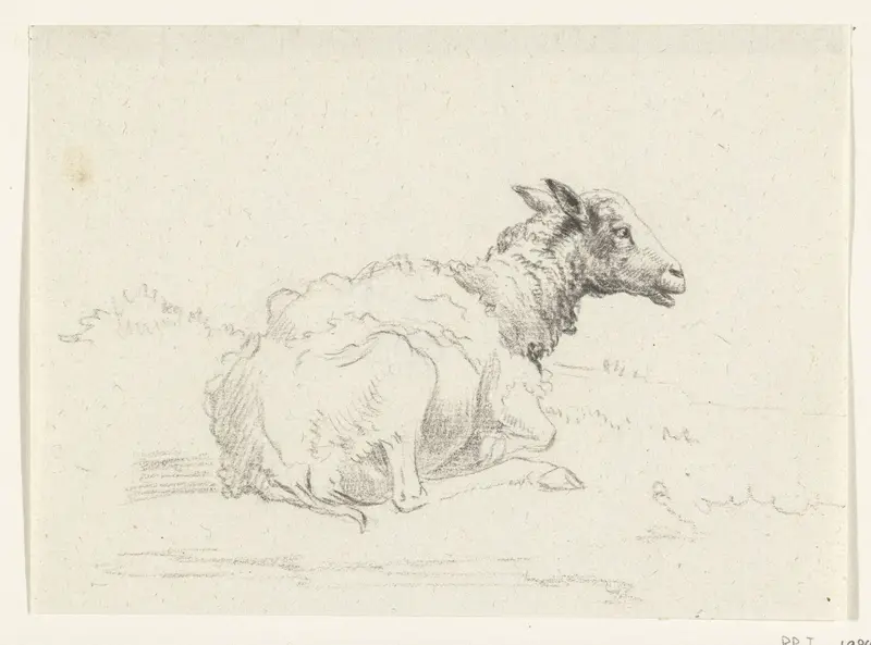Liggend schaap, naar rechts Wall Art by Jean Bernard - High-Resolution Digital Print