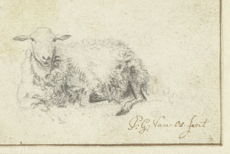 Liggend schaap, van voren Wall Art by Pieter Gerardus van Os - High-Resolution Digital Print