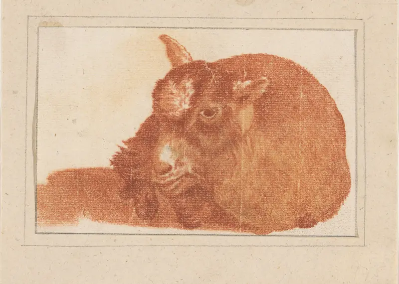Liggend schaap Wall Art by anonymous - High-Resolution Digital Print