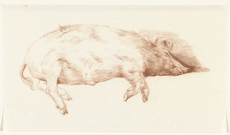 Liggend varken, naar rechts Wall Art by Jean Bernard - High-Resolution Digital Print