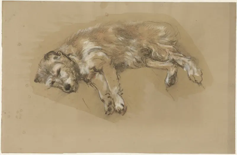 Liggende hond Wall Art by Guillaume Anne van der Brugghen - High-Resolution Digital Print