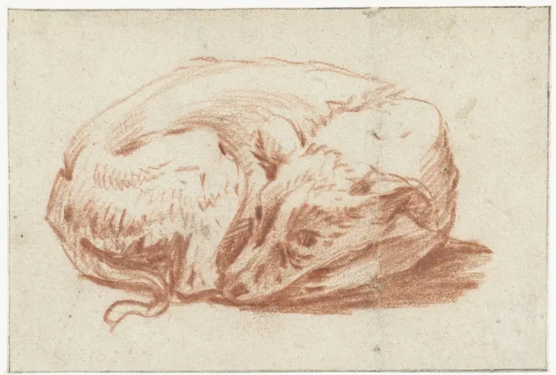 Liggende hond Wall Art by Pieter van Bloemen - High-Resolution Digital Print