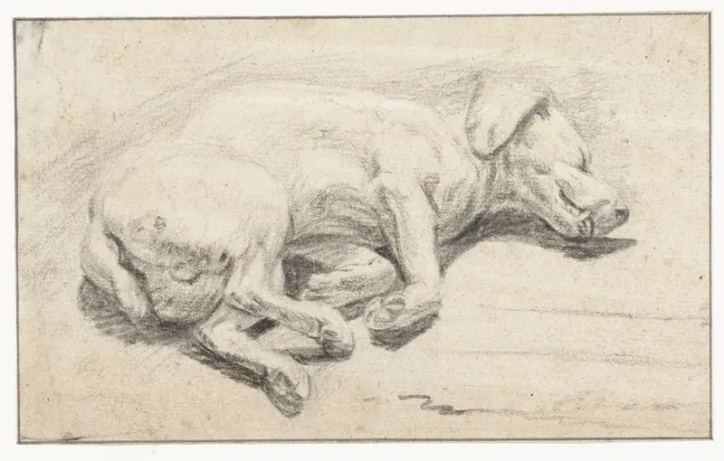 Liggende hond, slapend Wall Art by Unknown - High-Resolution Digital Print