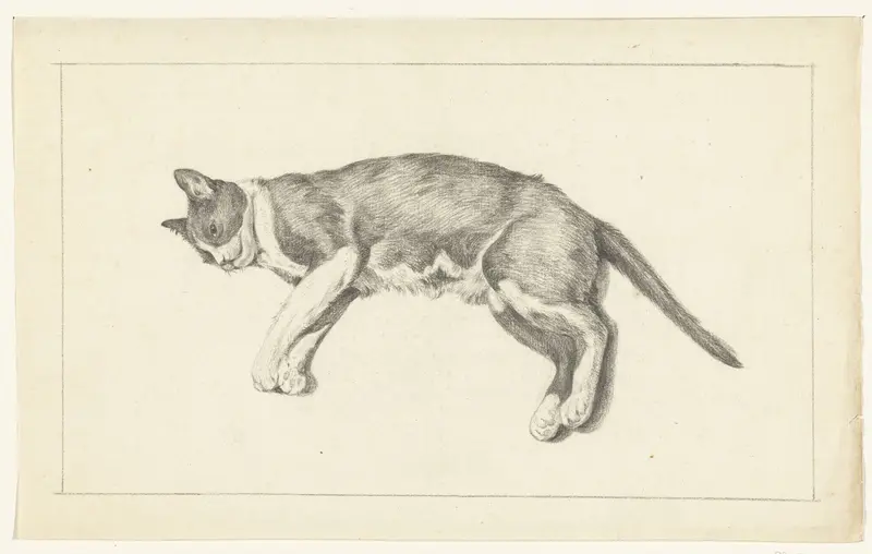 Liggende kat, naar links, van boven gezien Wall Art by Jean Bernard - High-Resolution Digital Print