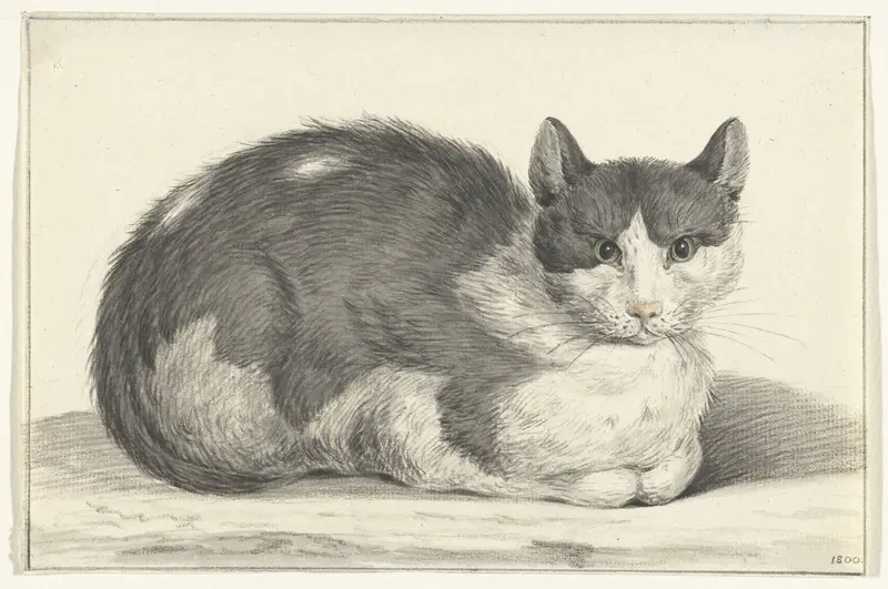 Liggende kat, naar rechts Wall Art by Jean Bernard - High-Resolution Digital Print