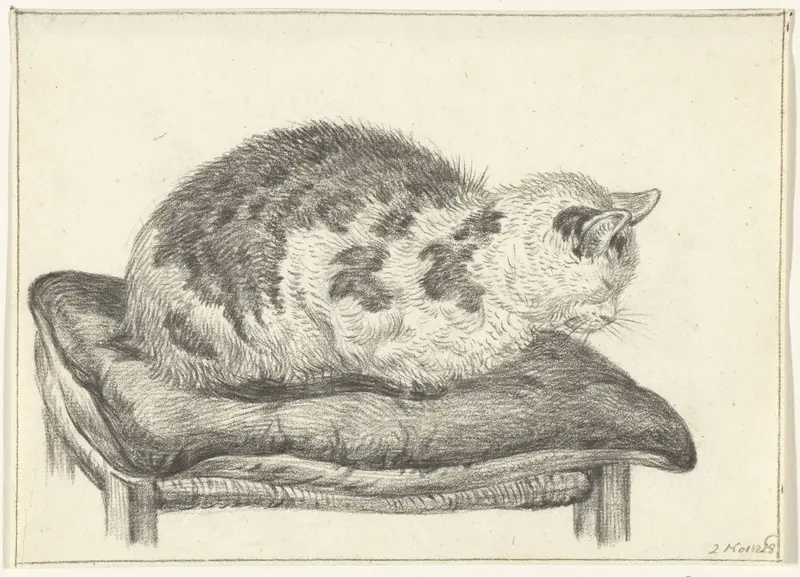 Liggende kat, op een kussen, naar links Wall Art by Jean Bernard - High-Resolution Digital Print