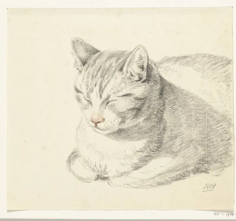 Liggende kat, schuin van voren Wall Art by Jean Bernard - High-Resolution Digital Print