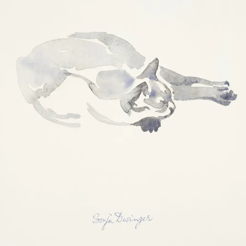 Liggende Siamese kat Wall Art by Unknown - High-Resolution Digital Print