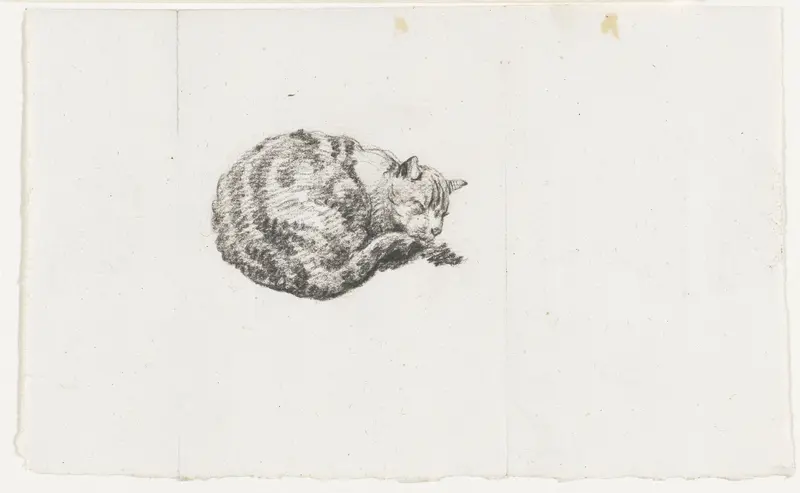 Liggende, slapende kat Wall Art by Pieter Bartholomeusz. Barbiers - High-Resolution Digital Print