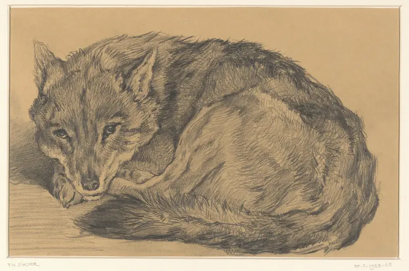 Liggende vos Wall Art by Frederik Willem Zürcher - High-Resolution Digital Print