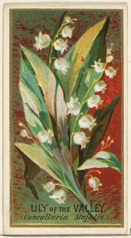Lily of the Valley (Convallaria Majalis), from the Flowers series for Old Judge Cigarettes Wall Art by Goodwin & Company - High-Resolution Digital Print